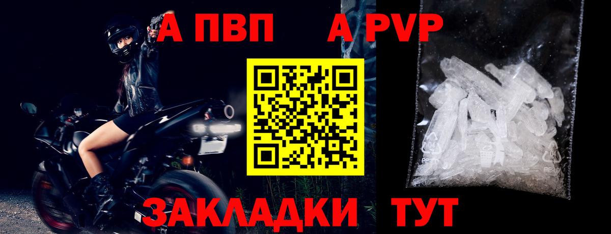 A-PVP СК КРИС Великий Новгород