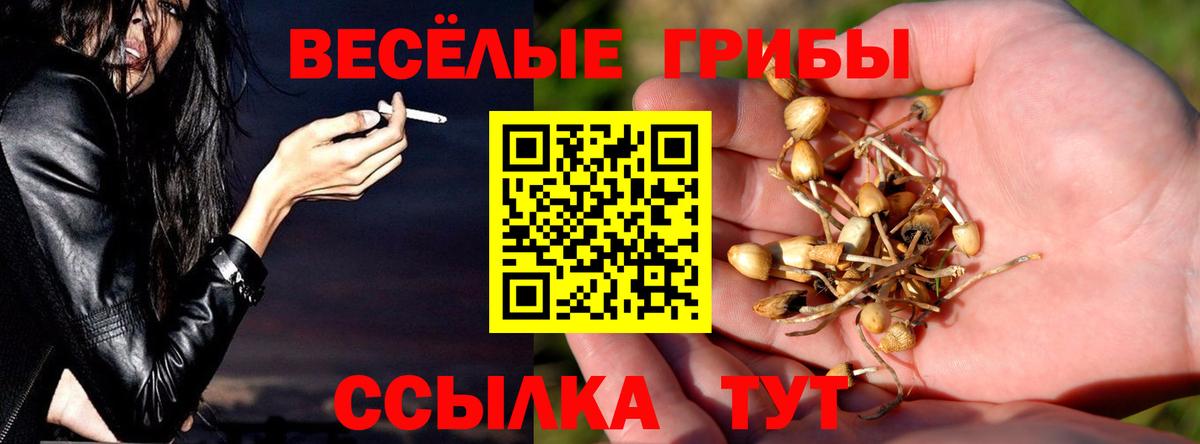 где купить   Псилоцибиновые грибы ЛСД  Галлюциногенные грибы Magic Shrooms  Вход с VPN  Великий Новгород 