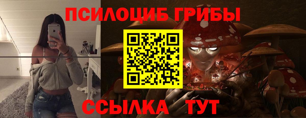 Псилоцибиновые грибы GOLDEN TEACHER Великий Новгород
